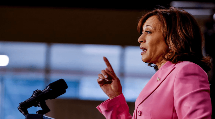 Kamala Harris Unveils Plan for Amnesty and Nationwide Mail-In Voting